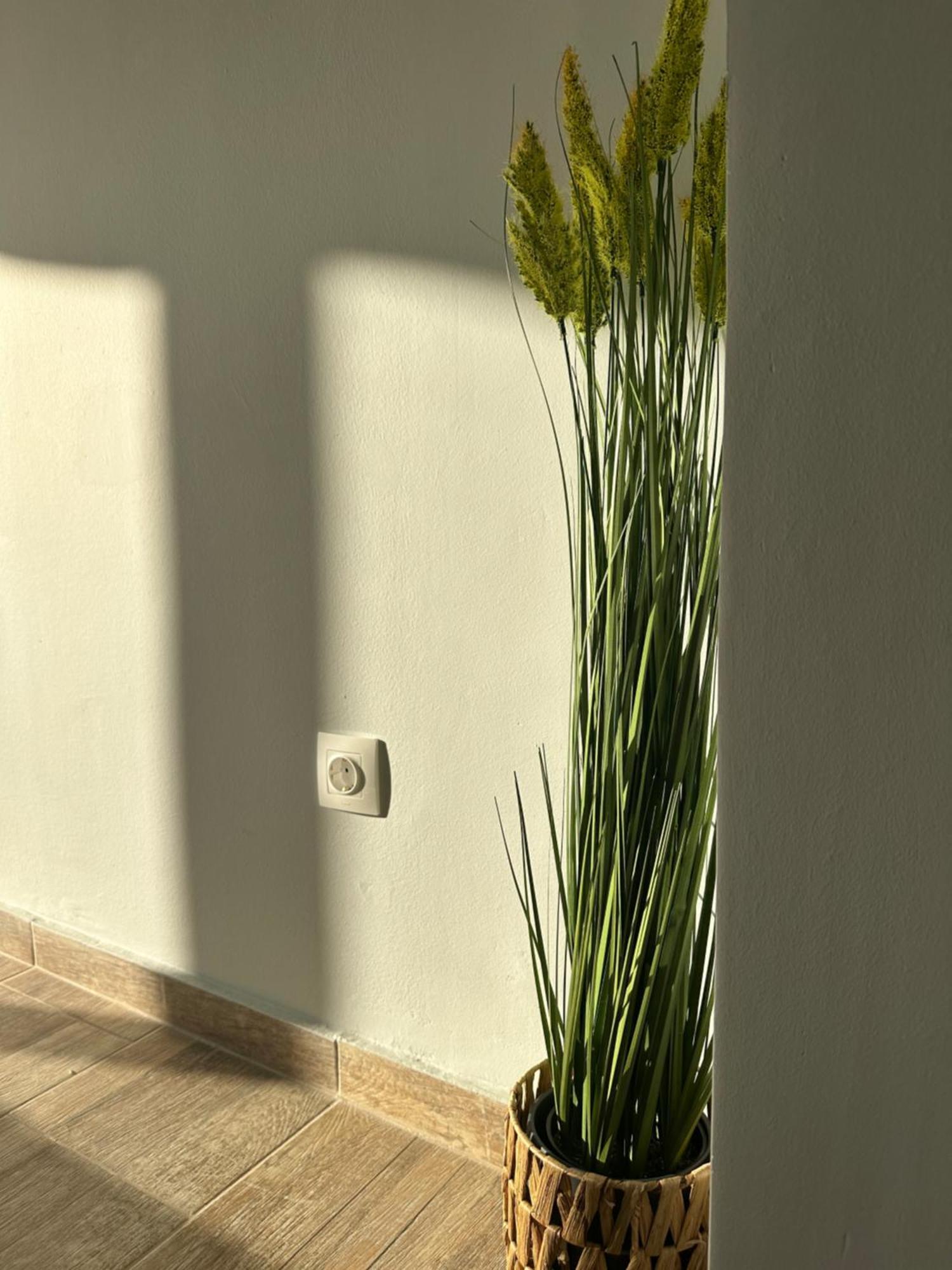 Glyfada Sunset Seaview Cozy Apartment A Atenas Exterior foto